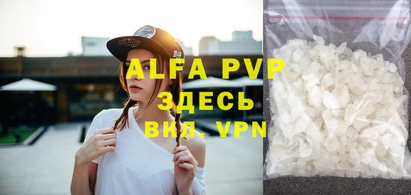 индика Абинск