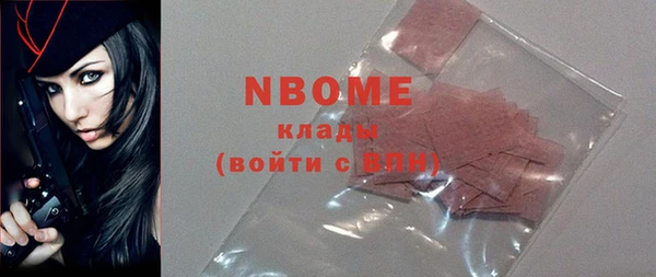 индика Абинск