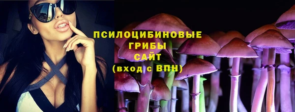 дмт Алзамай
