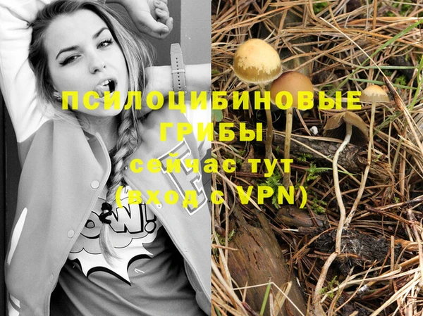 бутират Алексеевка