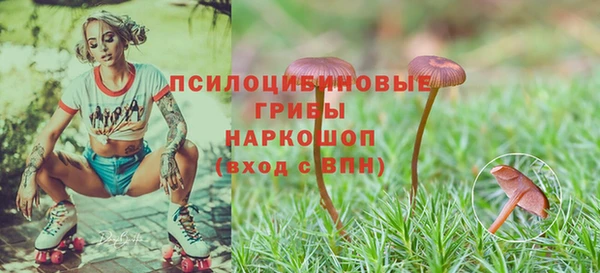 мяу мяу кристалл Алексин