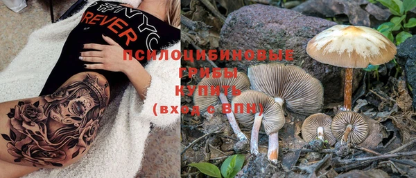 индика Абинск