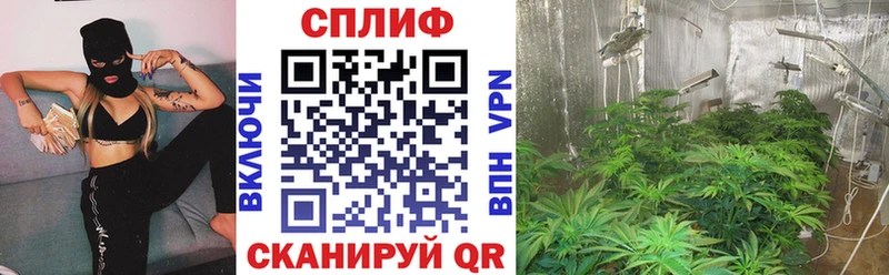 Канабис план  Инсар 